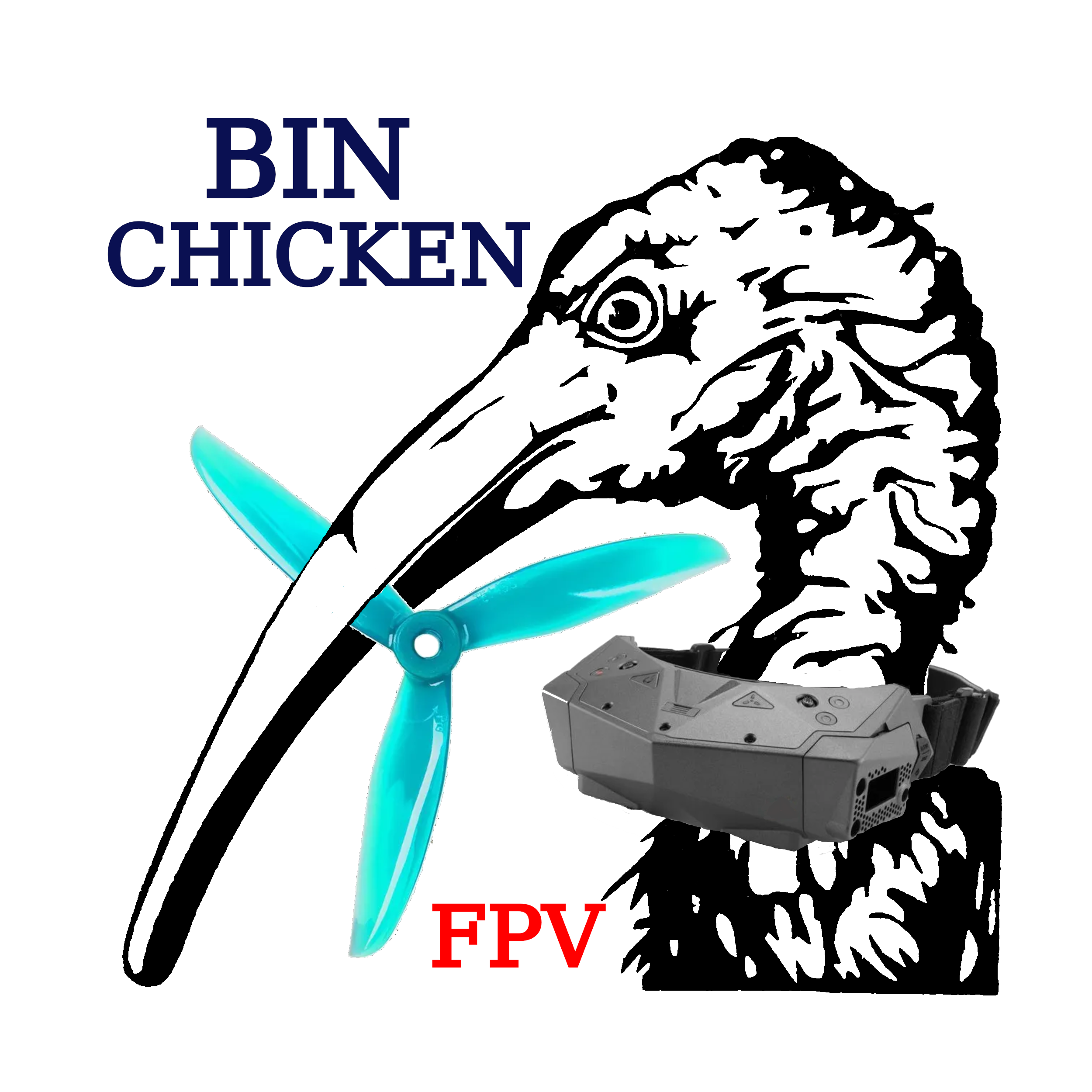 Bin Chicken